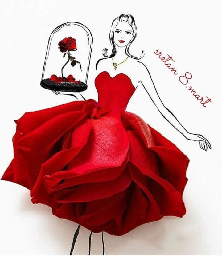 Profile photo of Dijana Broćeta